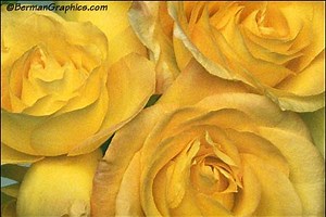 Penis Clicker - Free Addicting Game ★★★★★