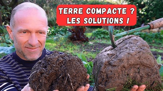 Terre dure, compacte, argileuse : la comprendre et l'améliorer