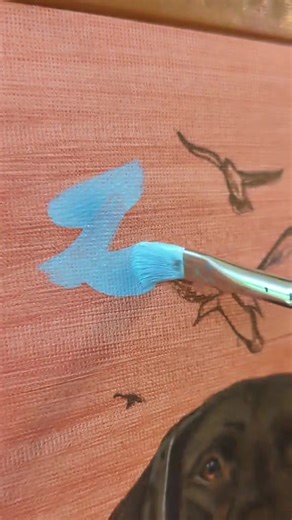 How I love a GSP. Some folks tend to think they're only good for upland bird hunting, little do they know this breed can do it all. What a piece like this? Send me a DM 📤 #gsp #fyp #mallards #pheasant #bird