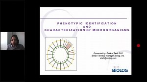 Phenotypic Identification and Characterization of Microorganisms