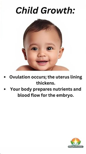 Week 2 Pregnancy 🤰 | The First Trimester Adventure Begins | Baby Growth & Care