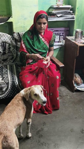 ❤️ Pure Love Between Human & Dog