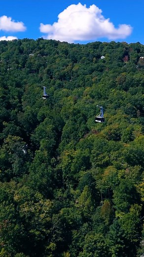 2.1K views · 1.1K reactions | Spring Break Adventure Awaits!  Ober...