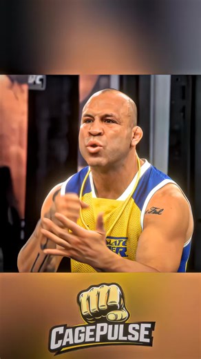 Chael Sonnen vs Wanderlei Silva Highlights