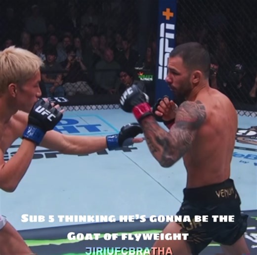 Analyzing J'S Left Arm in UFC Performance