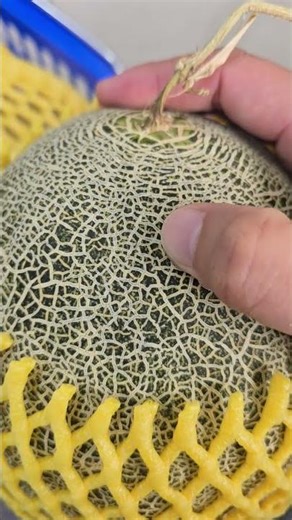 How to Spot a Perfect Melon 🍈 Premium Quality Secrets!