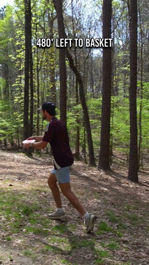 Nearly 1000' Through the Woods in 2!