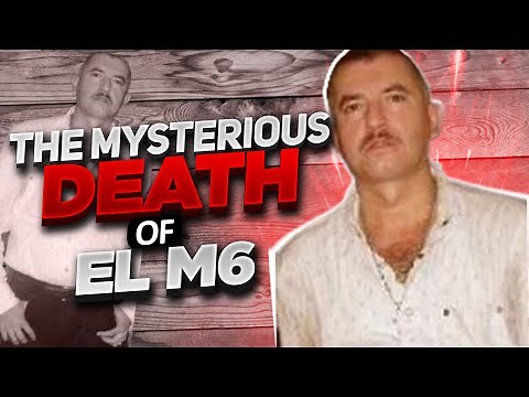 Raúl Meza Ontiveros : The Mysterious Death of EL M6
