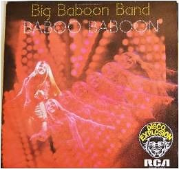 Big Baboon Band - Baboo Baboon