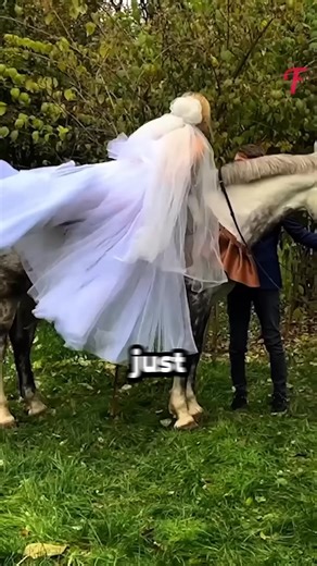 Bride's Dress Got Ruined Moments Before The Wedding, But Bridesmaid Saved The Day | History Facts