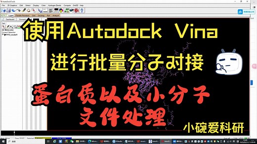 使用Autodock Vina进行批量分子对接——蛋白质以及小分子文件处理