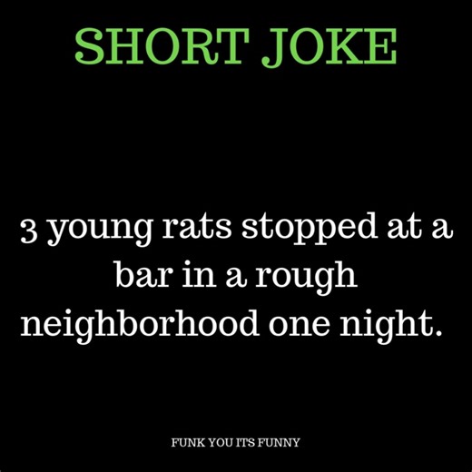 THE THIRD RAT DRINKS THE REST OF HIS BEER AND SAYS I AI'T GOT TIME FOR THIS SHIT. | Funk You, Its Funny