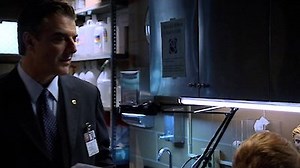 Watch Law & Order: CI Season 6 Episode 22 - Renewal