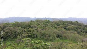 View of Arenal region in the morning, with mist over the green, lush forest and birds chirping