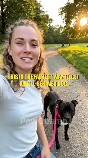 🐶 The one resource you will need to train your dog, solve problems, and have fun together 🐶 All the essentials in one place for you and your dog 🐶 Detailed instructions with clear illustrations 🐶 Easy-to-follow progress checker | Dog Obedience Challenge