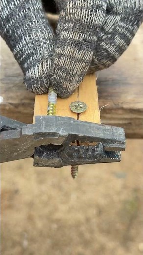Two screws into wood, cutting the tip doesn't break it? Amazing test results!