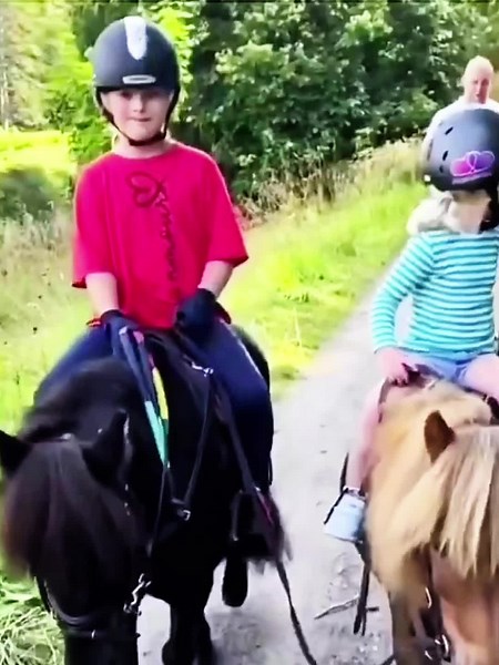 Discovering Mia Tindall: A Profile of the Tindall Family