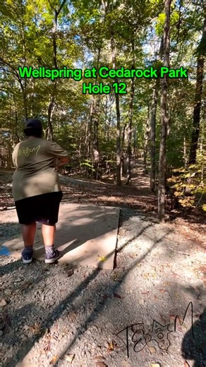 Wellsprings @ Cedarock Park #discgolf #bigfloyd #funny #memes
