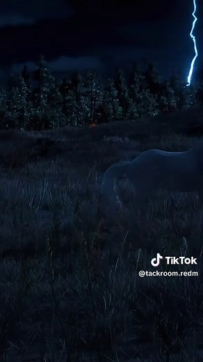Encounter Ghost Horses This Halloween at The Tackroom