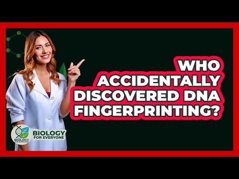 Who Accidentally Discovered DNA Fingerprinting? - Biology For Everyone