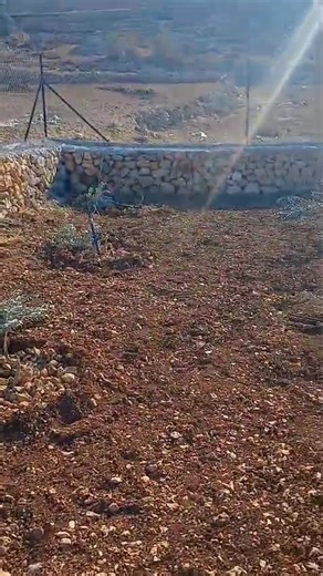 Burqa Burqa on Reels