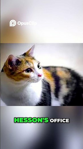 SCP-055 is a Cat Named Pudding? | You Won't Believe This Twist