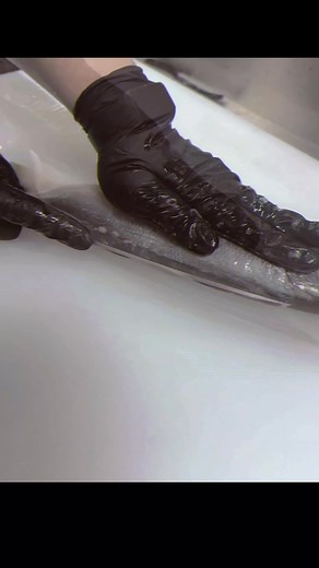 Fish Cutting #fishing #fishcutting #seafood #asmr #reel | Fish Cutting ASMR