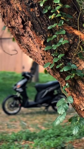 Beat Karbu Never Die🔰 on Instagram: "Repost from @mfebri12 • Thanks 2024🥰 Welcome Concept 2025❤️‍🔥🤩 - - - - #fyp #4u #fypシ #beatkarbuindonesia #beatkarbu #properbeatkarbu #beatkarbubekasi #beatkarbugank #kvygank #beatkarbu110 #mediabeat110 #beatkarbumodifikasi #beatkarbuhits #kvy #properbeat #berry #beatkarbuhonda"