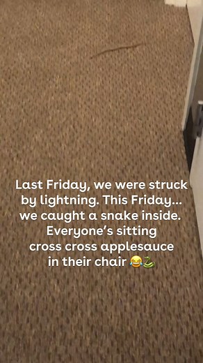 ....And no one is wearing flip-flops either! The snake was removed and sent back to the great outdoors. | BRIGHT-FM