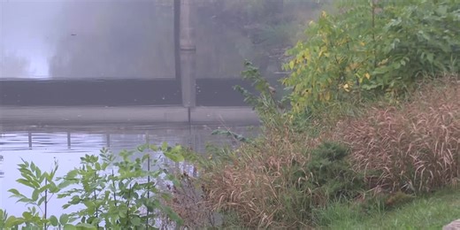 Police ID body pulled from Red Cedar River near MSU as middle-aged woman