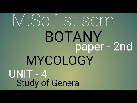 M.Sc 1st sem Botany paper 2nd [ mycology] Topic Penicillium reproduction @ jncu ballia 😇