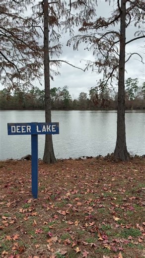 He Leads Me Beside Still Waters | Psalm 23:2–3 | #Bible #lake #calm #BeStill