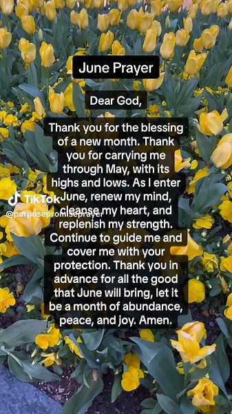 Blessed June: Renewal, Strength, and Joy in a New Month