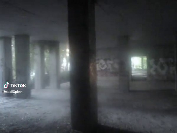 Exploring Telegram Features with Digital Cameras