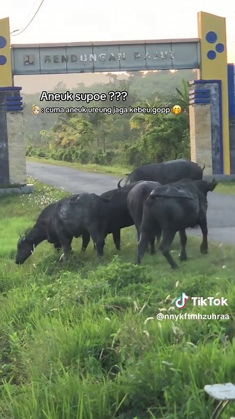 Understanding Kebeu and Acehnese Culture