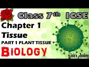 Chapter 1 Tissue part 1 plant tissue class 7th ICSE biology @jatinacademy