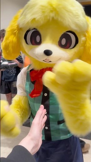Shake my hand in character Furry edition! #confuzzled