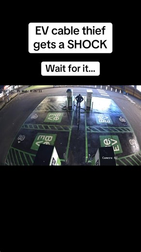 Shocking Moment: EV Cable Thief Caught on Camera