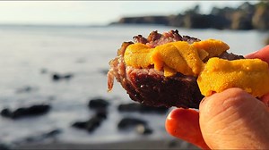 Catch and Cook - One of THE MOST Delicious Things I've Ever Tasted! | Fisherman's Life