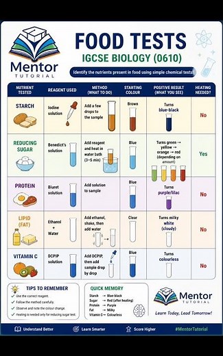 Food Tests Made Easy — all in one chart #education #tutorial #food #music #biology