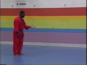 This is what we do...Don Jitsu Ryu!!!!!!!!! The Grandmaster at work!!!!!! | Purple Dragon - Barataria World Headquarters, Trinidad W.I.