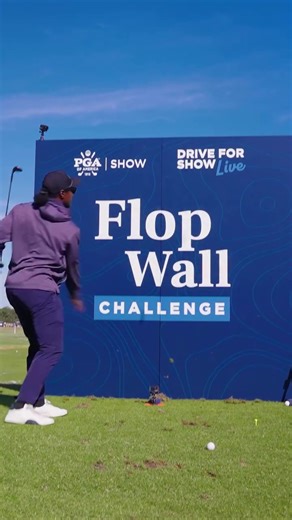 Can You Conquer the Flop Wall Challenge?