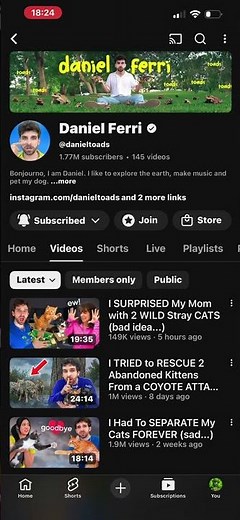 Was He SUCCESSFUL?? (Daniel Ferri)