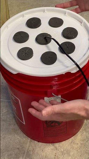 🌞How To Build A Plant Cloner For Less Than $25