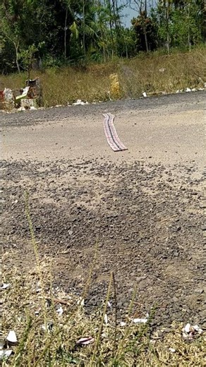 Testing of 1000 Wala from VSA Fireworks 💥💯🧨🔥#crackers#fireworks#shortsfeed#youtubeshorts#trending