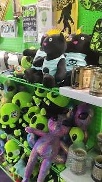 Area 52, Alien Store near Moab!