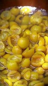 Summer jam production from tree to jar, handpick ripe loquats to create a sour and sweet delicacy!