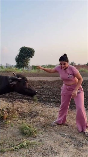 🍻 BEER KI BOTTLE | Sandeep Surila | Latest Haryanvi DJ Song 2025 | Full On Desi Vibes