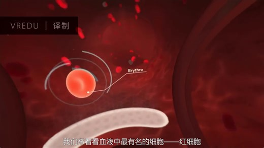 「VREDU译制」The Body VR Vive 预告片