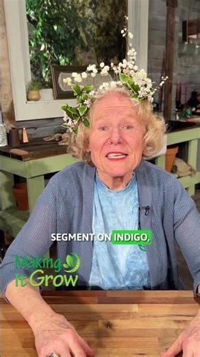 Explore how to grow indigo and its deep roots in Southern culture.